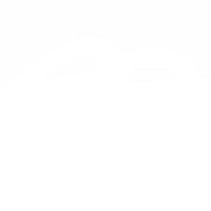 Meet your Posher, Shadir